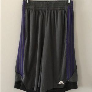 Adidas Climalite Shorts